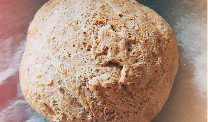 como fazer pão: autólise se segredos