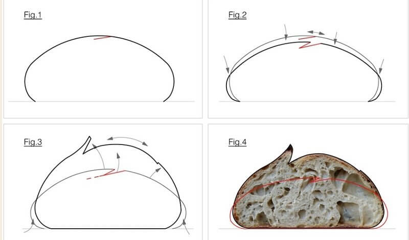 corte do pão - 8 dicas para melhorar seu corte