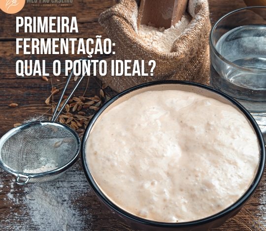 Pão com levain: Qual o ponto ideal da primeira fermentação?